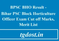 BPSC BHO Result