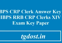 IBPS CRP Clerk Answer Key