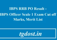 IBPS RRB PO Result