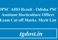 OPSC AHO Result