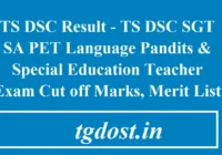 TS DSC Result